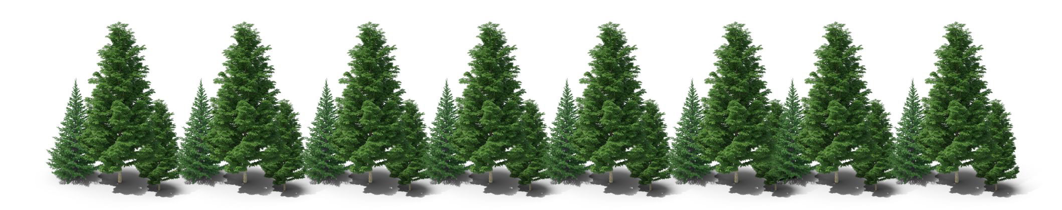 paper sustainability